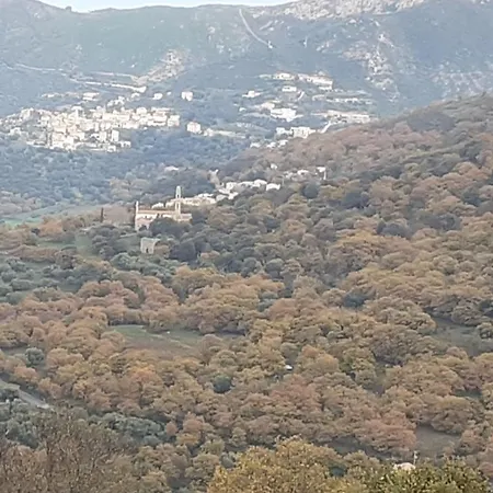 E Curtaline * Speloncato (Corsica)