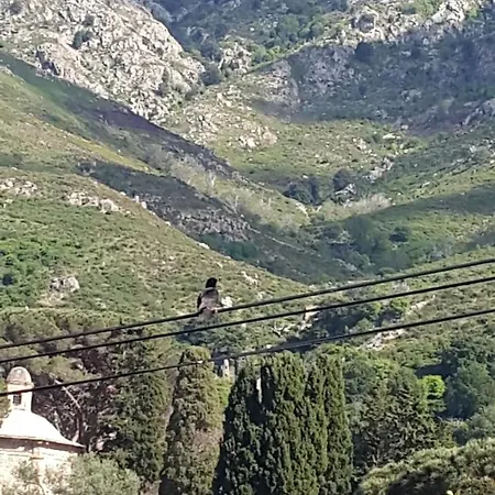 E Curtaline *
