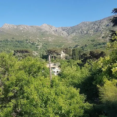 E Curtaline